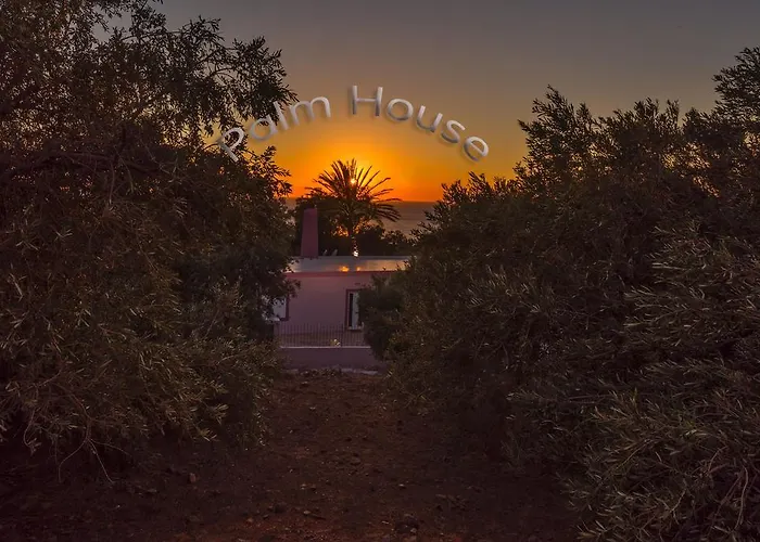 Palm Beach House