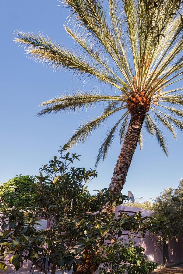 Palm House Holiday home *