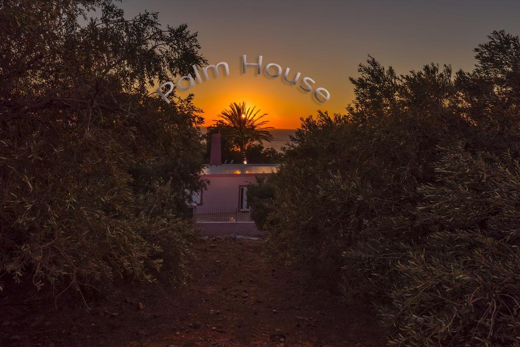 Palm House Holiday home Sfinarion